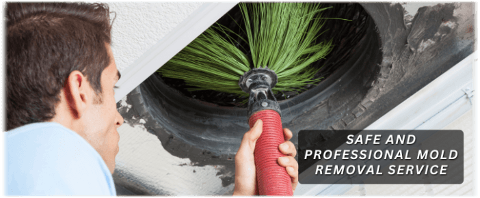 Air Duct Mold Removal in Dallas