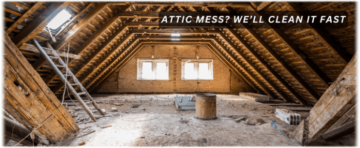 Attic Cleaning Dallas