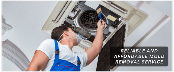 HVAC Mold Removal Dallas